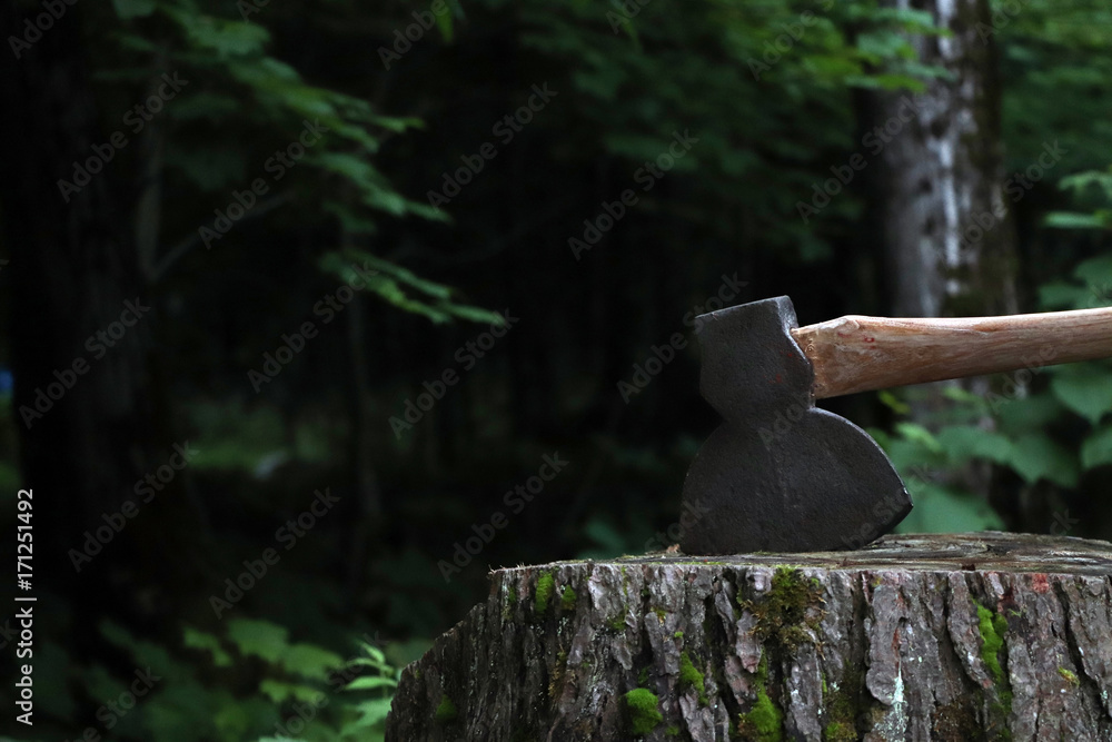 Old Rustic Axe Head Buried Deep in Old Tree Stump in the Woods Stock Photo  | Adobe Stock