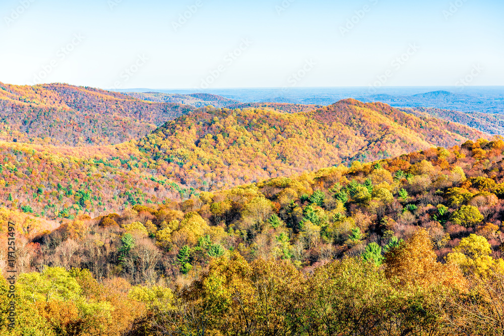 Shenandoah National Park forest mountains, hills and ridge in Virginia during autumn with golden foliage
