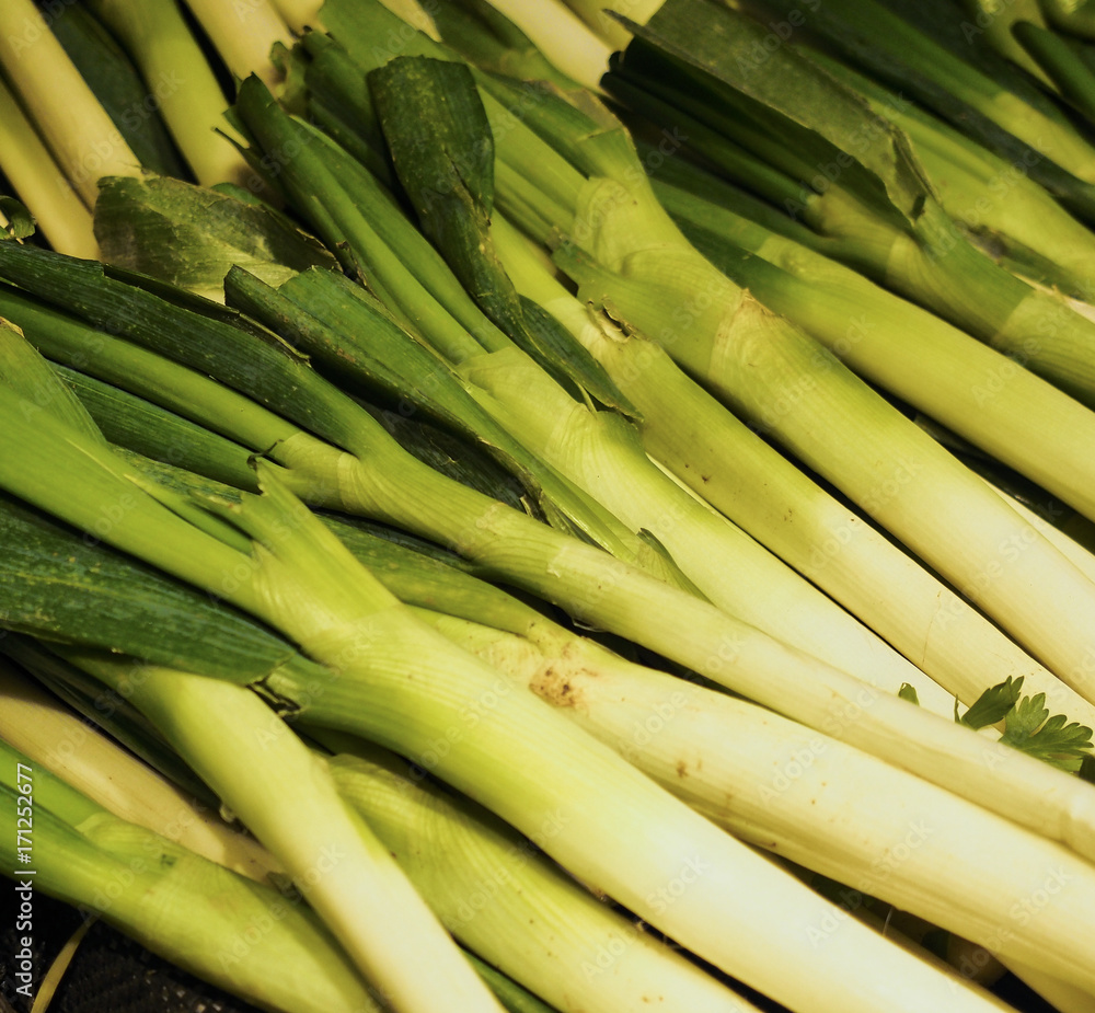 Fototapeta premium Green Chinese onion