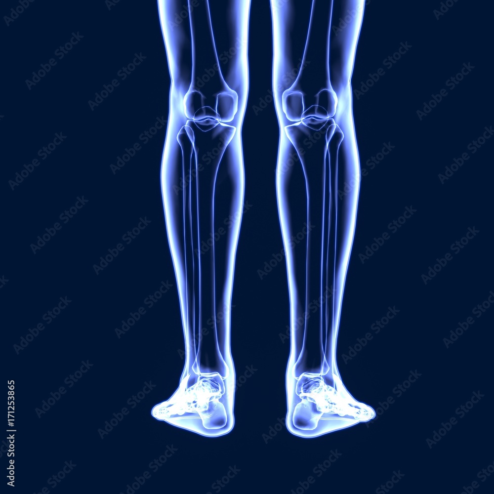 3D Illustration of Human Body Bone Joint Pains (Knee Joints)
