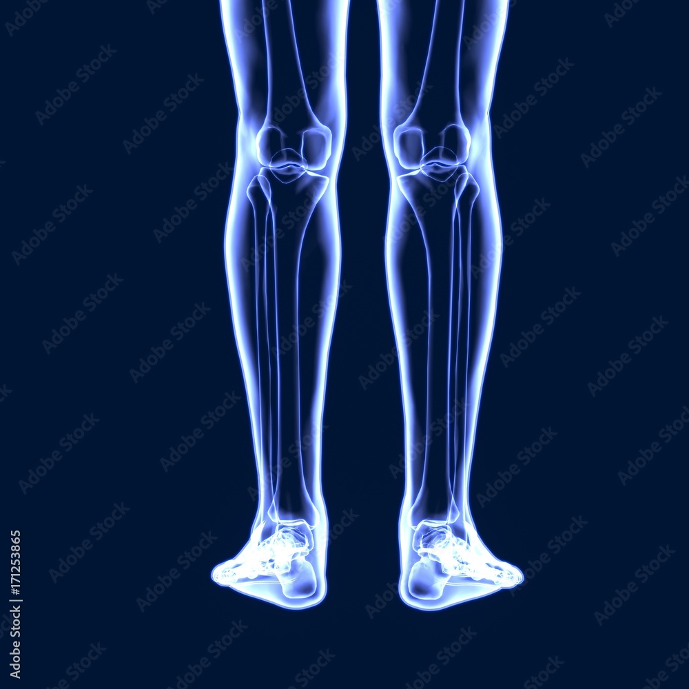 3D Illustration of Human Body Bone Joint Pains (Knee Joints)
3D Illustration of Human Body Bone Joint Pains (Knee Joints)