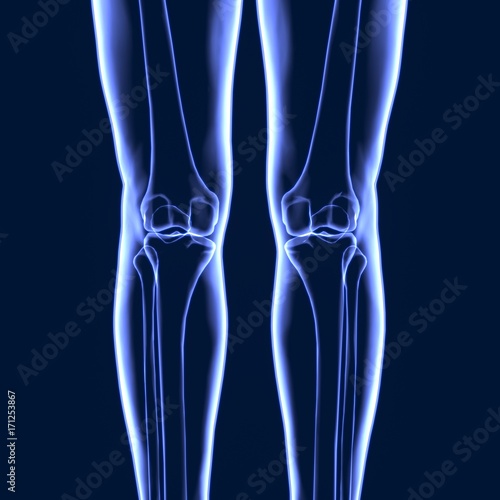 3D Illustration of Human Body Bone Joint Pains (Knee Joints)   © PIC4U