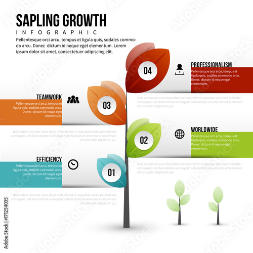 Sapling Growth Infographic