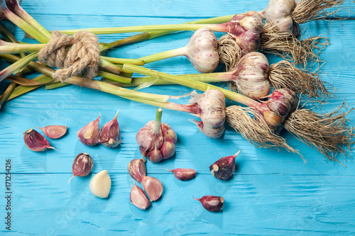 fresh Garlic with Dill-Flower on blue wood Table photo