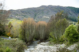 Motueka Valley South Island New Zealand 