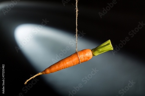 Carrot. photo