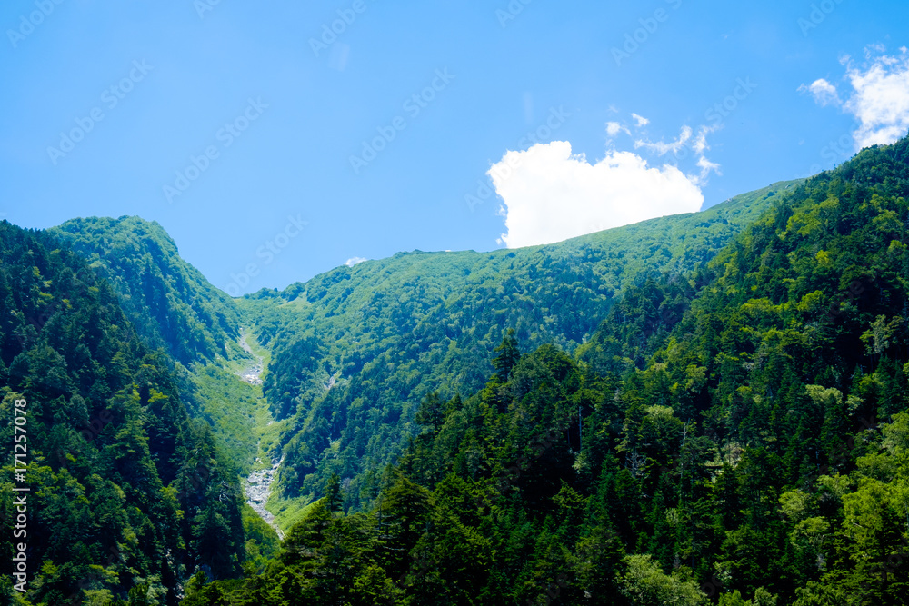 Fototapeta premium 夏の駒ヶ岳