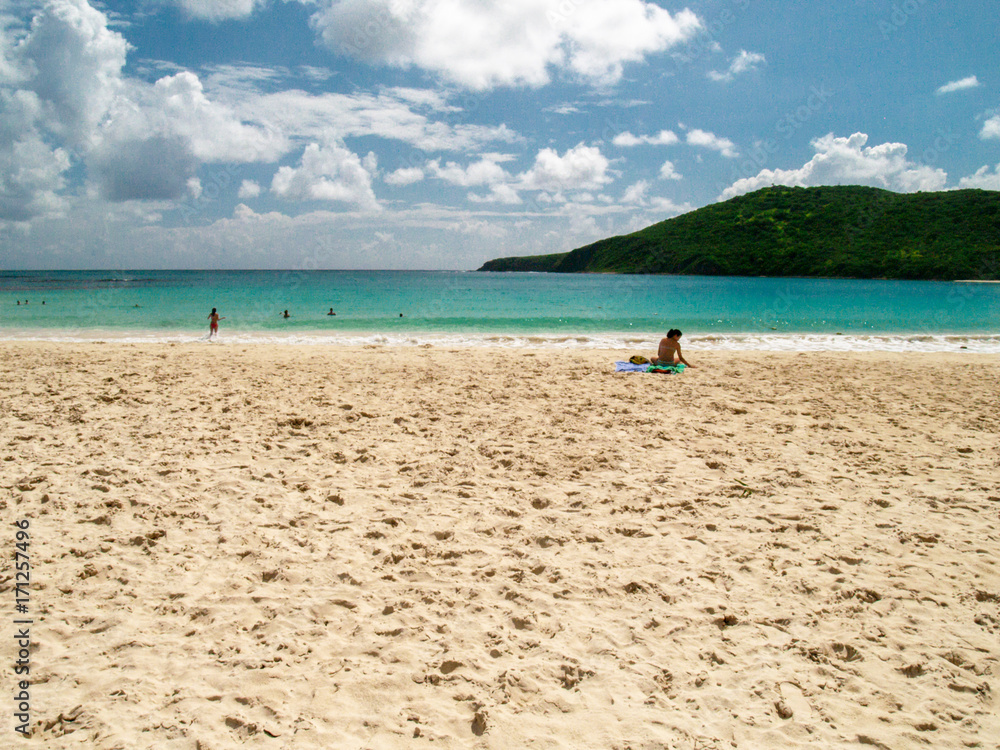 Tropical Beach Tropical Beach