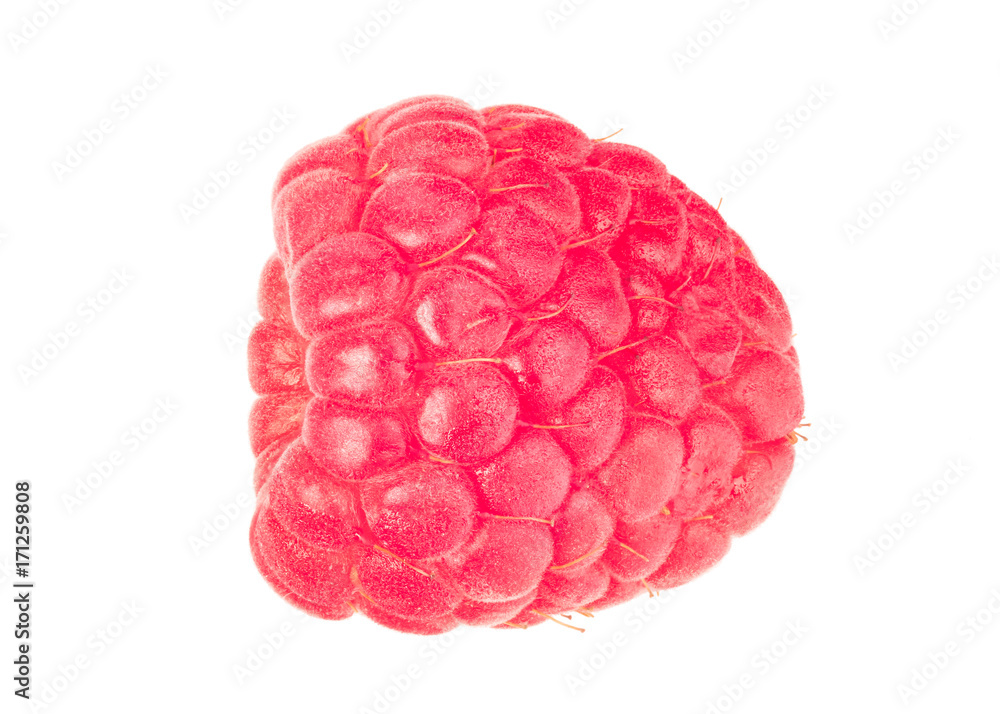 Red Raspberry Red Raspberry