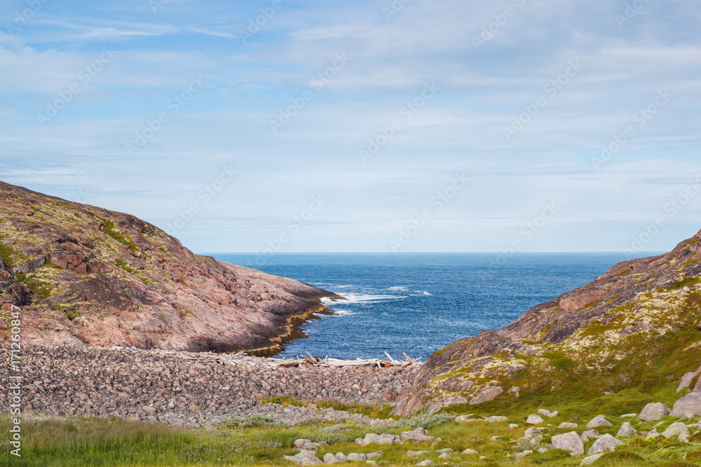 The coast of the Barents Sea in summer
