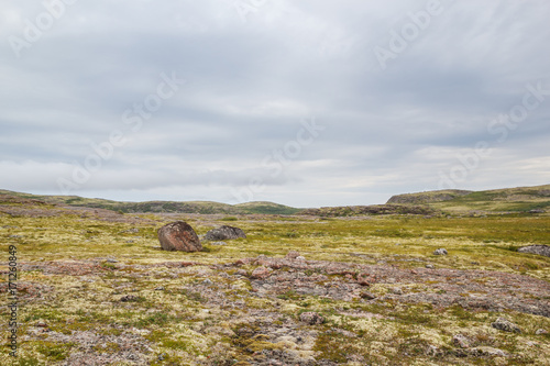 The landscape of the northern tundra in summer