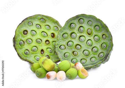 lotus pods and seeds isolated on white background