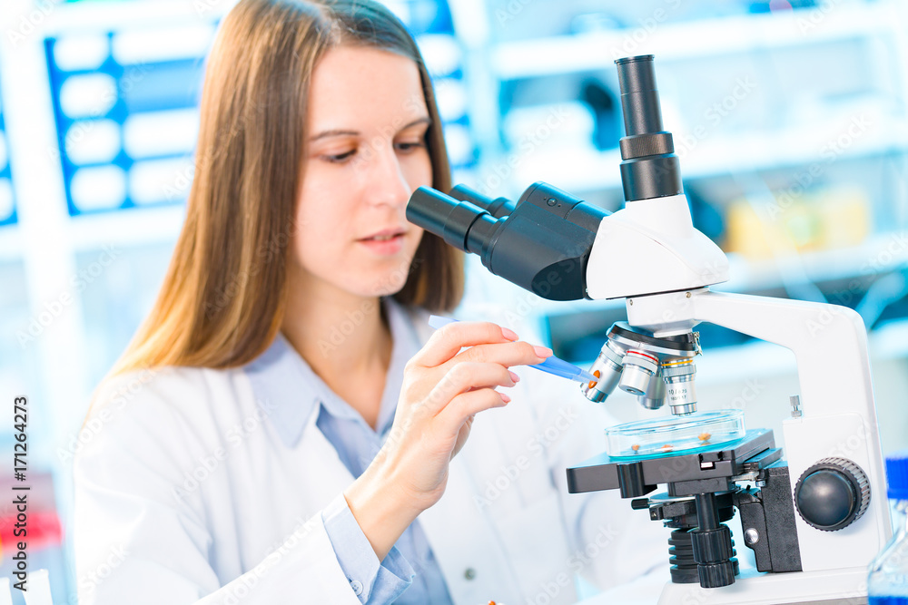 Selective and genetic work with seeds and grains in a scientific laboratory. Food quality control Selective and genetic work with seeds and grains in a scientific laboratory. Food quality control