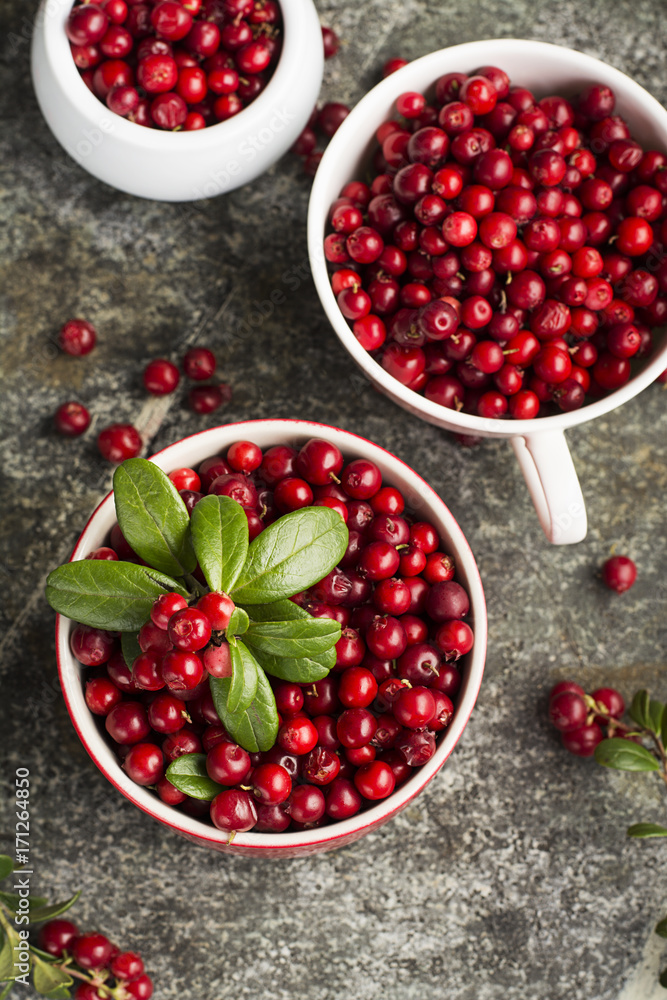 Fresh cranberry or cowberry, lingonberry top view Fresh cranberry or cowberry, lingonberry top view