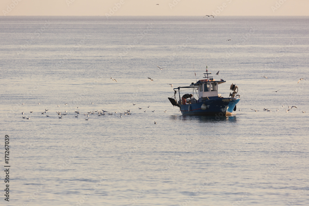 Obraz premium Barca da pesca con gabbiani