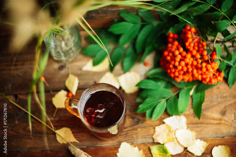 green circle in the scarf, the window with maple leaves and drops after rain in autumn / season when you need warm drinks green circle in the scarf, the window with maple leaves and drops after rain in autumn / season when you need warm drinks