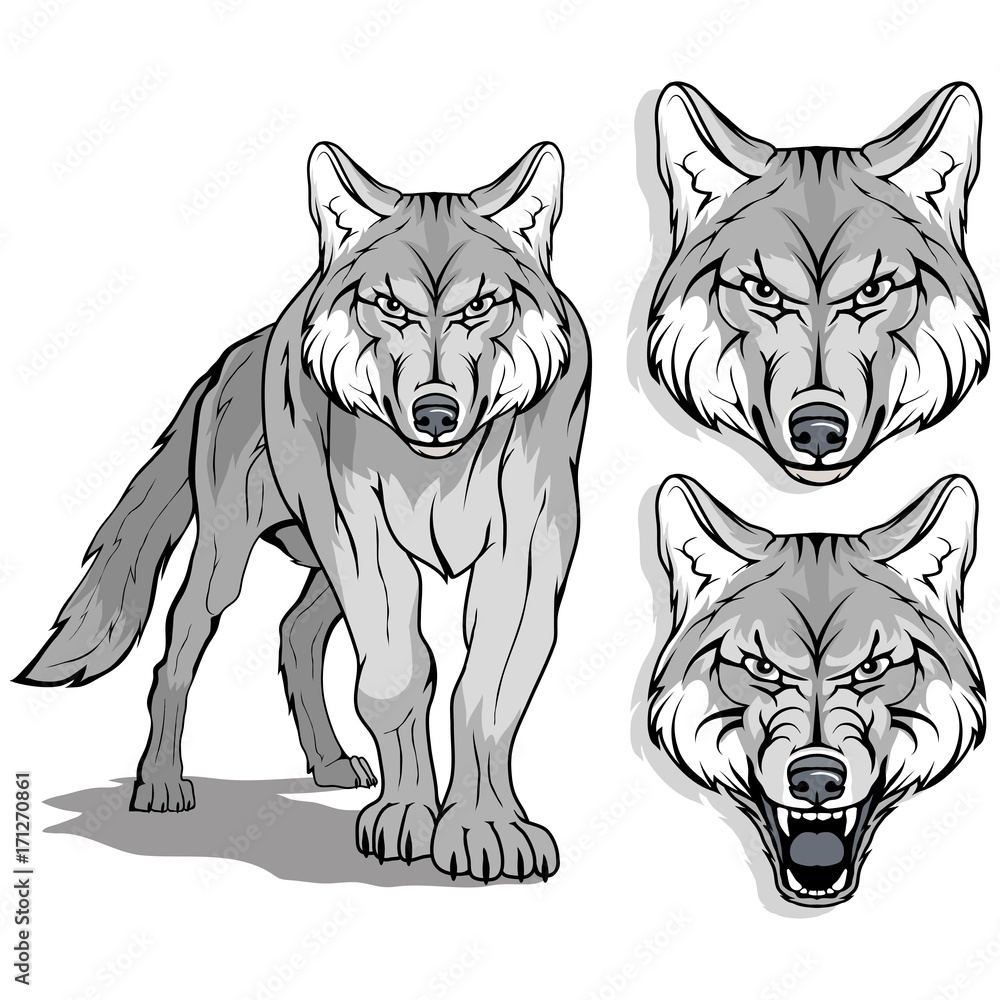 Obraz premium Wolf logo