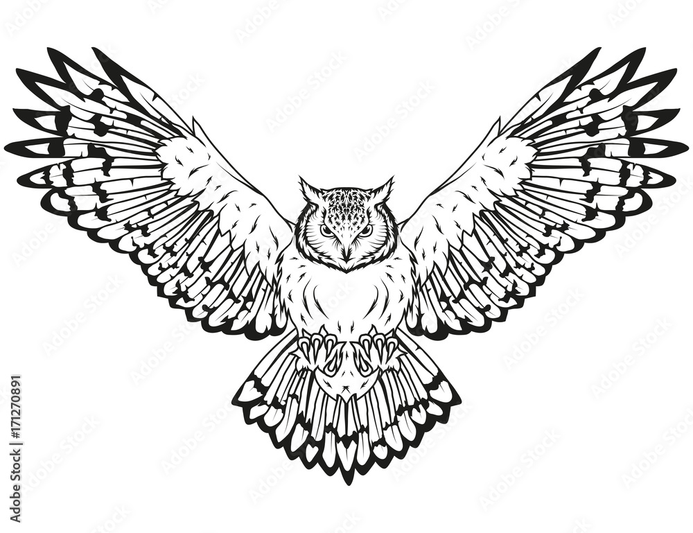 Obraz premium Owl logo