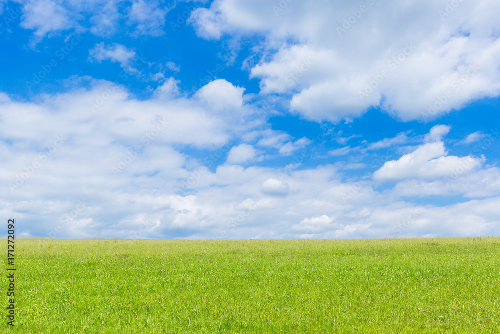 green field and blue sky with light clouds