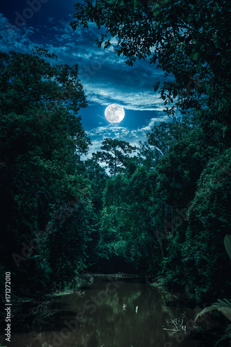 Landscape of sky with clouds and moon over serenity nature in forest.
