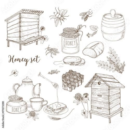 Honey production, beekeeping or apiculture set - honeycomb, man-made beehives, wooden dipper, bees, teapot hand drawn in retro style on white background. Monochrome vector illustration.