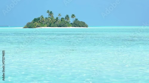 Tropical Coconut Palms over Erruh Huraa Island, Maldives photo