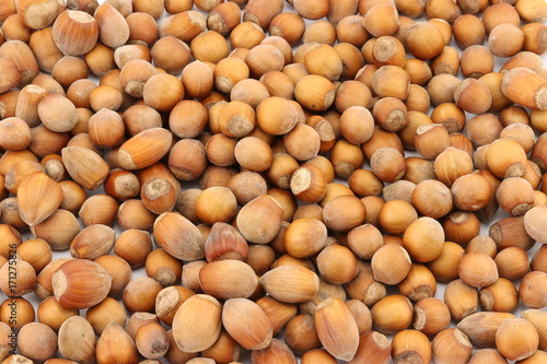Hazelnuts 