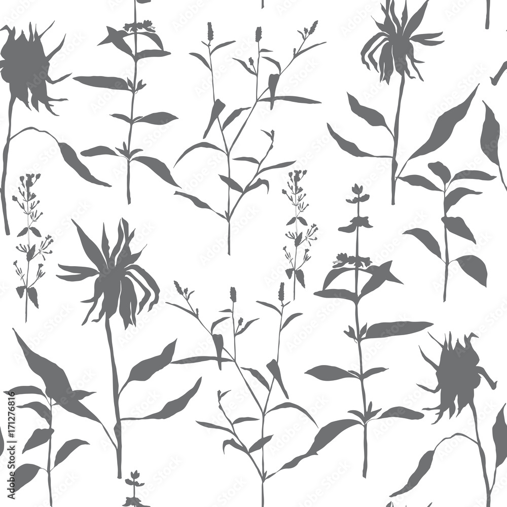 Vector floral seamless pattern with wild meadow flowers, herbs and grasses. Thin delicate line silhouettes of different plants like sunflowers and basil. Vector floral seamless pattern with wild meadow flowers, herbs and grasses. Thin delicate line silhouettes of different plants like sunflowers and basil.