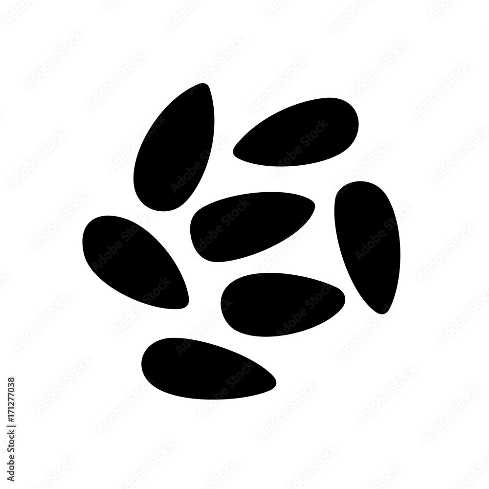Sunflower seeds, shade picture Sunflower seeds, shade picture