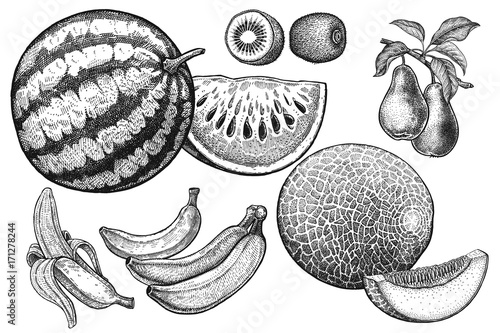 Realistic fruits set.