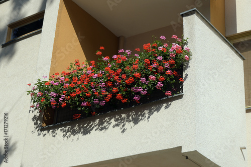 Fototapeta Naklejka Na Ścianę i Meble -  balkonbegrünung