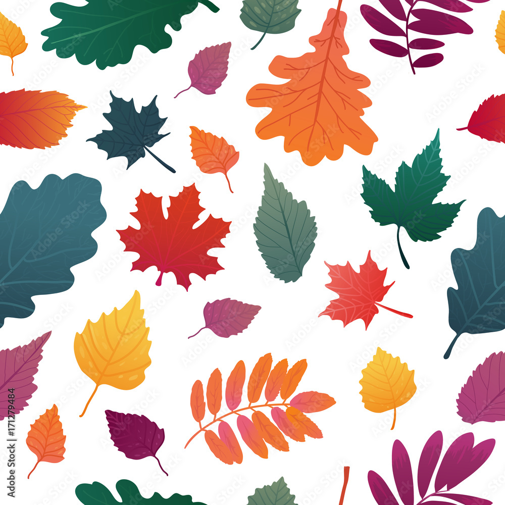 Seamless background with autumn leaf pattern. Fall herb, twig on white background.  Oak and maple leaf graient color. Vector