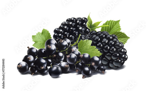 Blackberry and black currant horizontal composition isolated on white