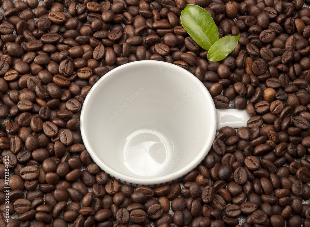 Coffee beans allover white cup of coffee beans Coffee beans allover white cup of coffee beans