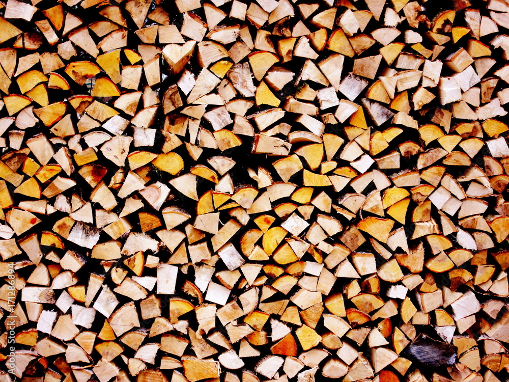 Wood Wood