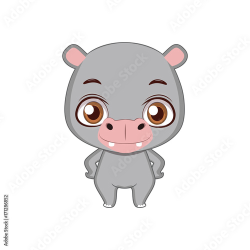 Cute stylized cartoon hippo illustration ( for fun educational purposes, illustrations etc. )