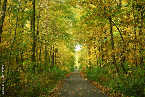 Landschaft 460 © K.-U. Häßler