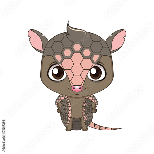Cute stylized cartoon armadillo illustration ( for fun educational purposes, illustrations etc. )