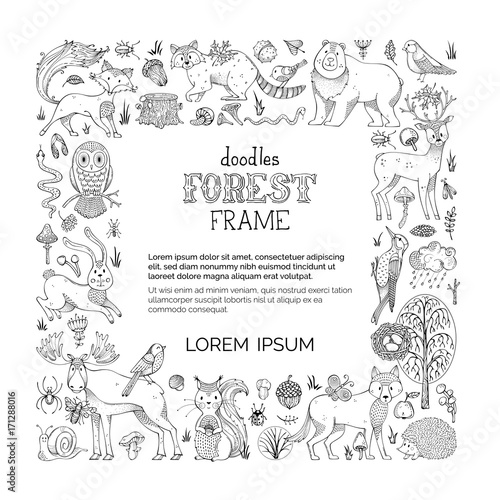 Vector doodles forest frame.