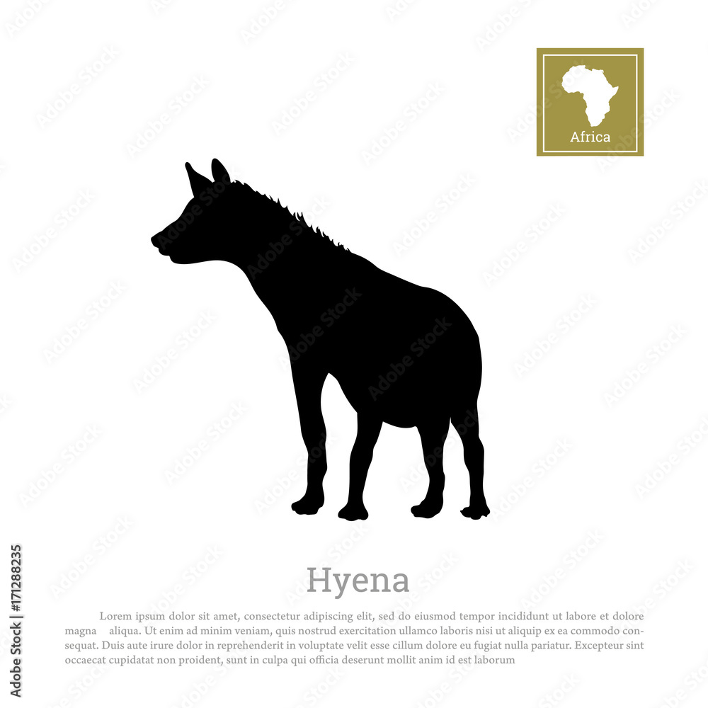Detail of black hyena silhouette on a white background. African animals