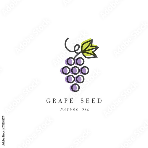 Murais de parede Vector set of packaging design element and icon in linear style - grape seed oil