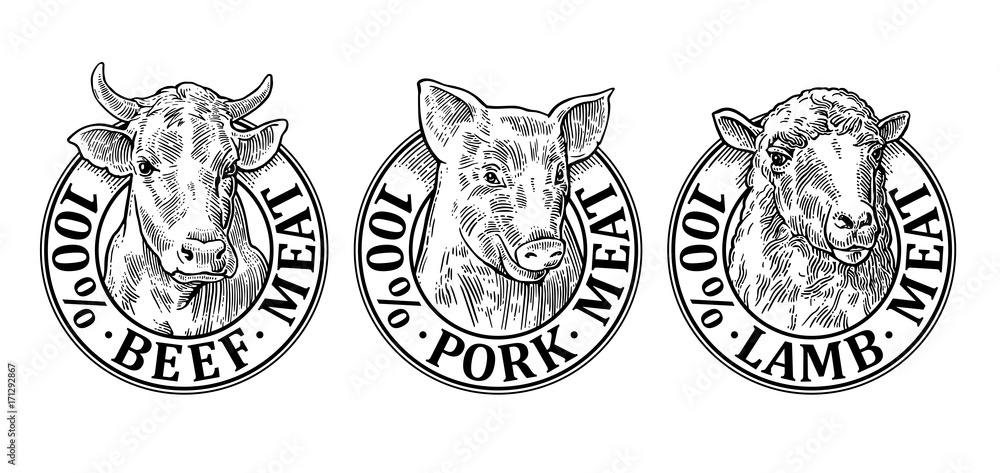 Cows, pig, sheep head. 100 percent beef pork lamb meat lettering Cows, pig, sheep head. 100 percent beef pork lamb meat lettering