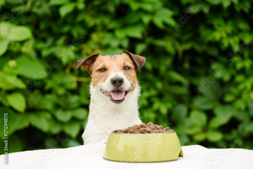 Fototapeta Naklejka Na Ścianę i Meble -  Dog behind table with bowl full of dry food