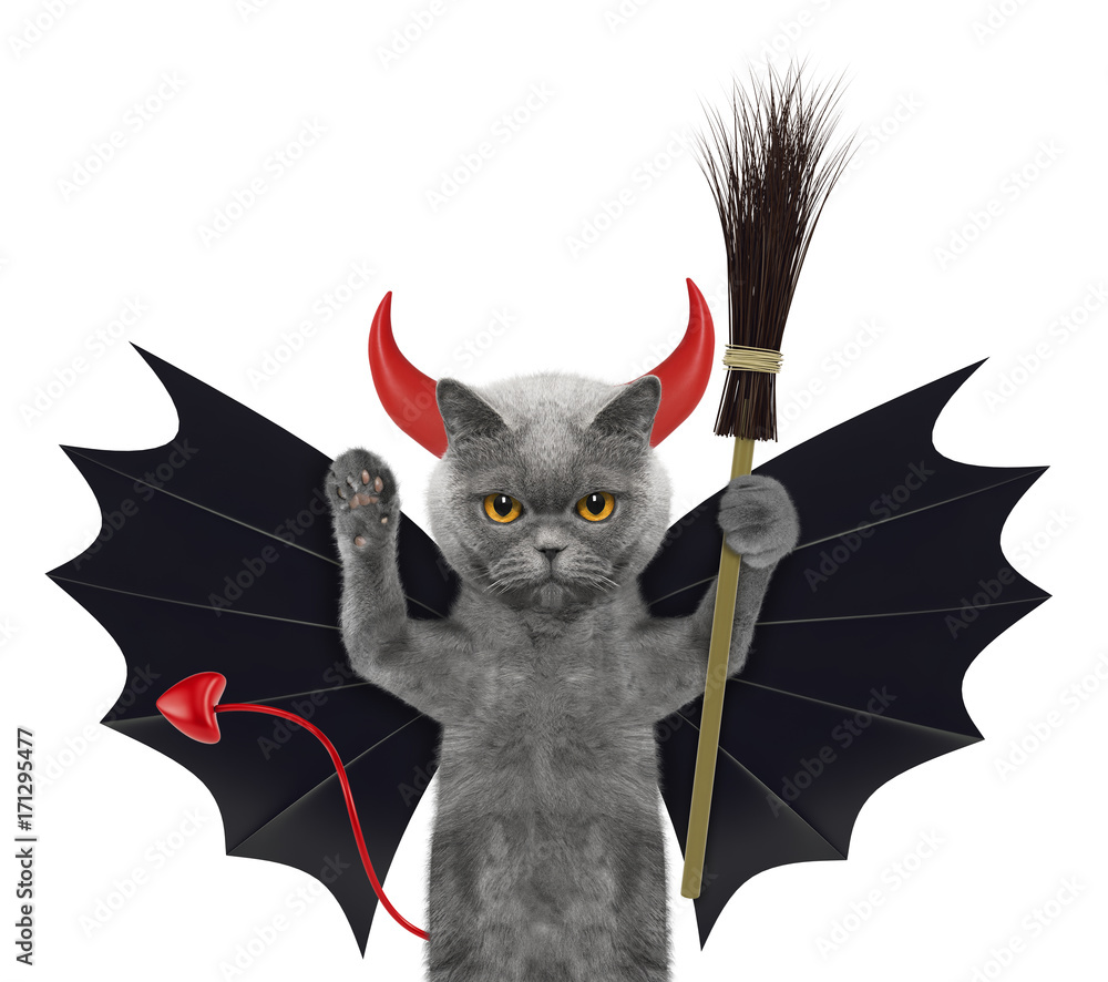 cute halloween cat in bat devil costume with broom - isolated on white ...