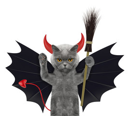 cute halloween cat in bat devil costume with broom - isolated on white