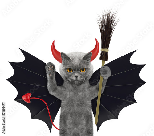 Fototapeta Naklejka Na Ścianę i Meble -  cute halloween cat in bat devil costume with broom - isolated on white