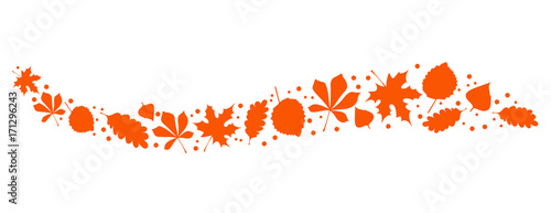 Natur Blätter Orange