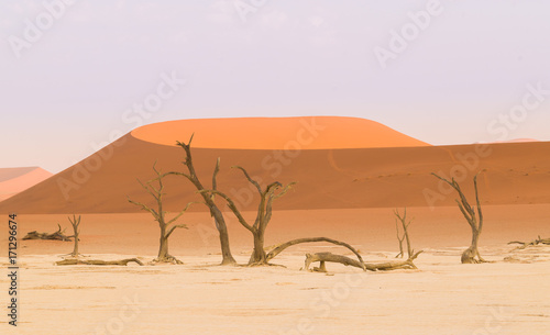 Sossusvlei, Namibia © Janelle