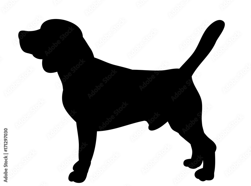 isolated silhouette of a dog is standing isolated silhouette of a dog is standing