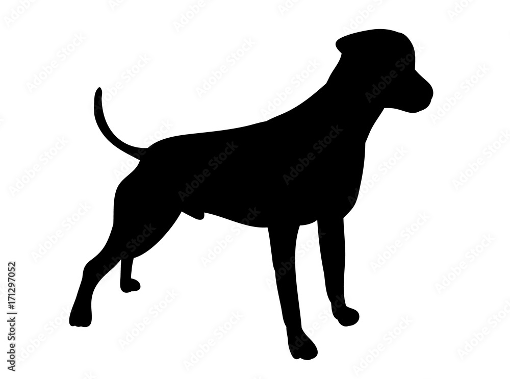  isolated one silhouette of a dog